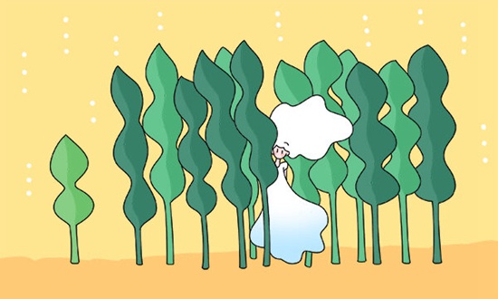 邛崃二中外地生自主招生录取名单在哪看？
